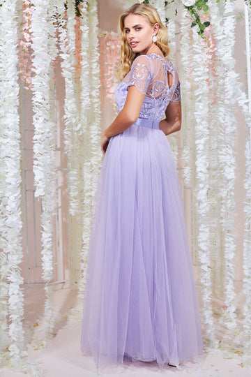 Embroidered Mesh With Plain Mesh Maxi Dress Goddiva